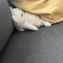 bonelesssboiz avatar