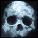 bones-of-glass avatar