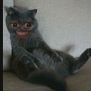 bonesandleaves avatar