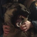 bonesinmyheart avatar