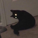 bonesjonesing avatar