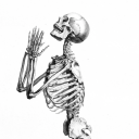 bonesnskinnn avatar