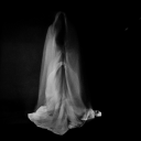 bonesofmygarden avatar