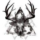 bonesresurrected avatar