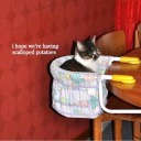 bongobongosbigdongo avatar