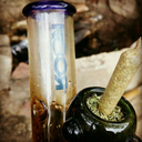 bongs-ballgags avatar