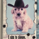 bongsmoker42000000 avatar