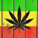 bongsmokers-blog avatar