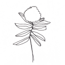 bonheur-du-jour avatar