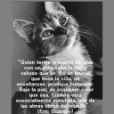 bonitosmomentos avatar