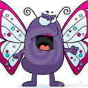 bonjour-butterfly avatar