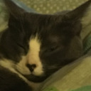 bonjourbitchie avatar