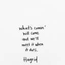 bonjouretbonmatin avatar