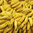 bonjourtriceratops avatar