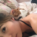 bonne-nuit-lune avatar