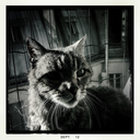 bonnenuit-goodnight avatar