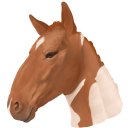 bonnes-the-horse avatar