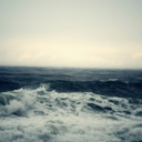 bonnietsunami avatar