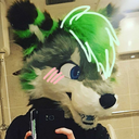 bonsaithehusky-blog avatar