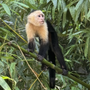 boobieslover310 avatar