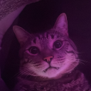 boobitchposts avatar