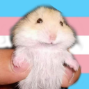 boobliker42069 avatar