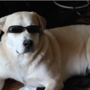 boobookityyfuck avatar