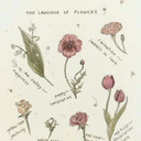 book-and-fantasy avatar