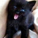 book-challenger avatar