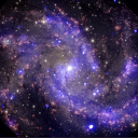 book-quotes-i-found avatar