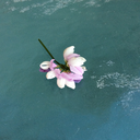 book-worms-n-stuff avatar