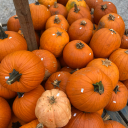 bookdragon-19 avatar