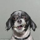 bookerdewhiting avatar