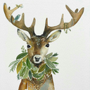 bookfawns avatar