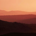 bookiebookiebookie avatar