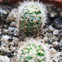 bookish-hwezi avatar