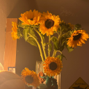 bookish-sunflower avatar