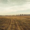 bookishlesbian avatar