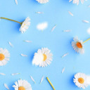 booklover2713 avatar