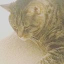 bookloveracts avatar