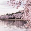 booknerdinglasses avatar