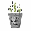 bookoffracturedghosts avatar