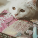 books-and-animals-blog avatar