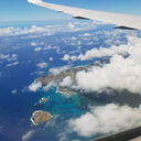 books-and-bunnies avatar