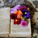 books-and-candy-ples avatar