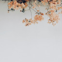 books-and-plantss avatar