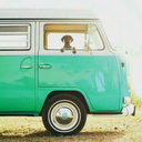 books-are-fantastic avatar