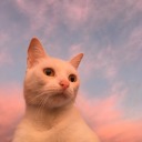 books-are-what-i-live-for avatar