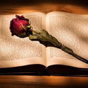 books-n-quotes avatar