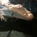 booksandmemes1987 avatar